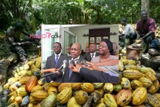Côte dÂ’Ivoire : Campagne 2013, les satisfécits du Conseil Café-cacao 
